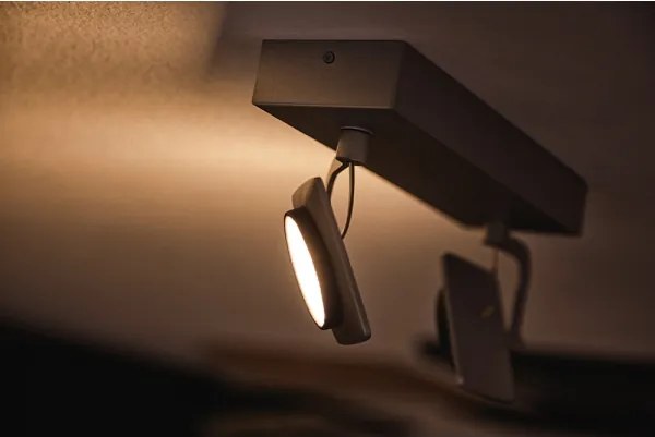 Philips 53192/48/P0 - Luce Spot a LED MILLENNIUM 2xLED/4,5W/230V