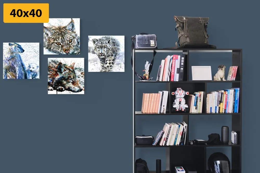 Set di quadri – Animali in interessante versione acquerello