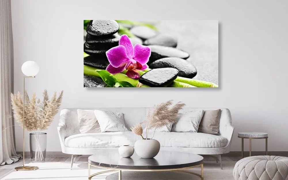 Quadro su tela – Natura morta per il benessere con orchidea viola