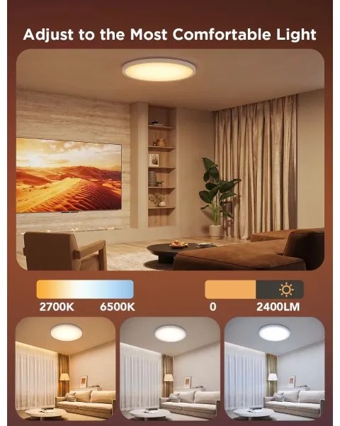 Govee - LED RGBICWW dimmerabile plafoniera LED/29W/230V Ø 30cm finitura opaca Wi-Fi