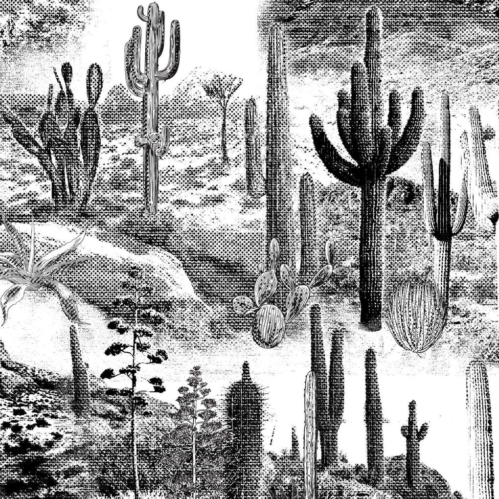 Carta da Parati Carta da Parati Cactus nel Deserto Bianca e Nera 15€/mq | Spedizione Gratuita | Carta Da Parati Camera Da Letto | Carta Da Parati