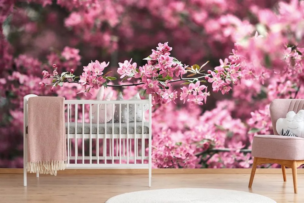 Fotomurale – Fiori di ciliegio dettagliati