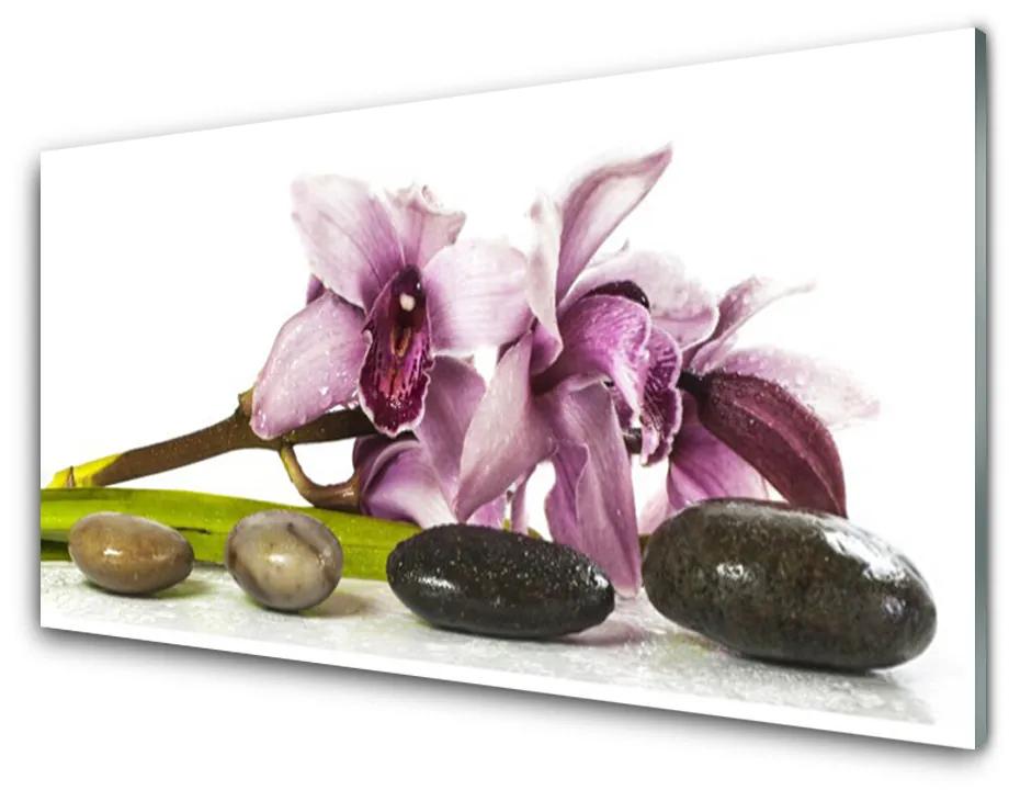 Pannello retrocucina Pianta di pietre di fiori 100x50 cm
