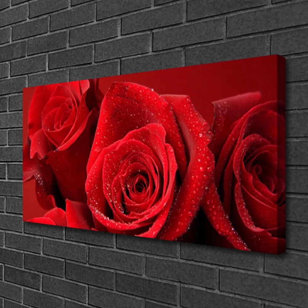 Quadro su tela Fiori di rose 100x50 cm