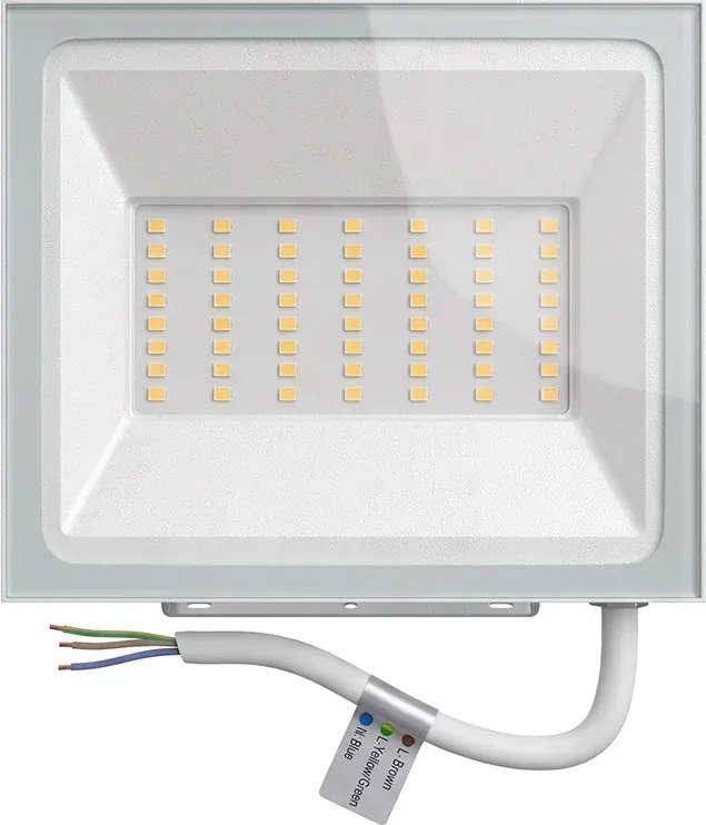 Faro LED 50W IP65 in Alluminio Bianco con OSRAM chip LED Colore Bianco Freddo 6.500K