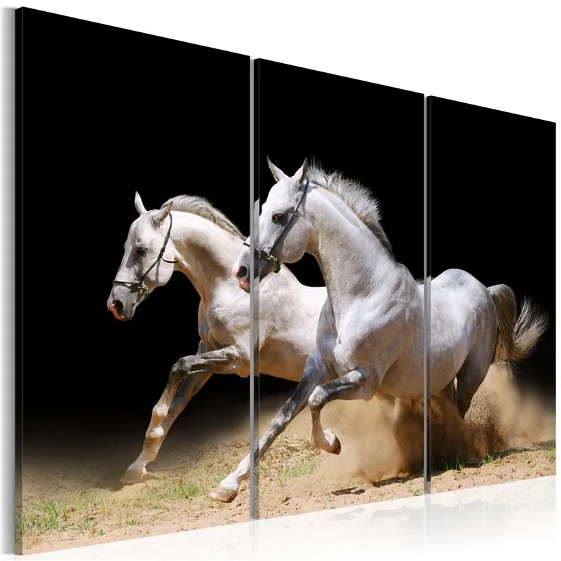 Quadro Cavalli  potenza e velocita'  Colore Nero, Dimensioni e Misure 120x80