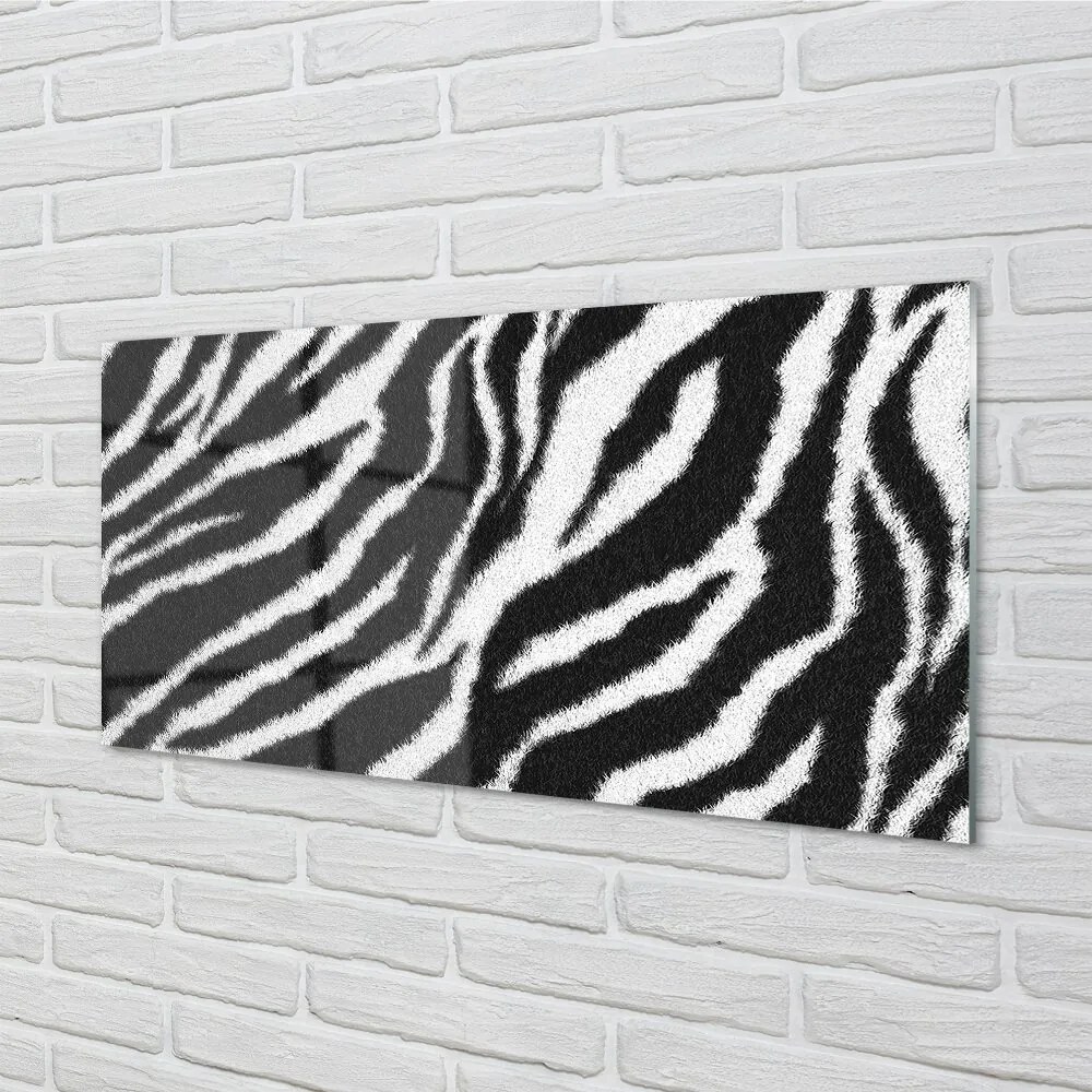 Quadro in vetro Cappotto zebrato 100x50 cm 2 appendini