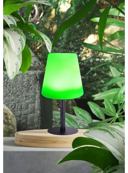 Globo 33894 - Lampada da tavolo LED RGB Solar touch LED/0,1W/3V IP44