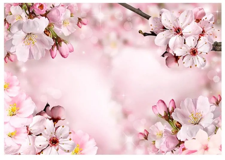 Fotomurale  Spring Cherry Blossom  Colore Rosa, Dimensioni e Misure 150x105