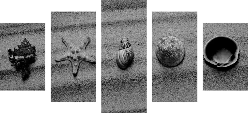 Quadri 5 pezzi – Conchiglie sulla spiaggia sabbiosa in bianco e nero