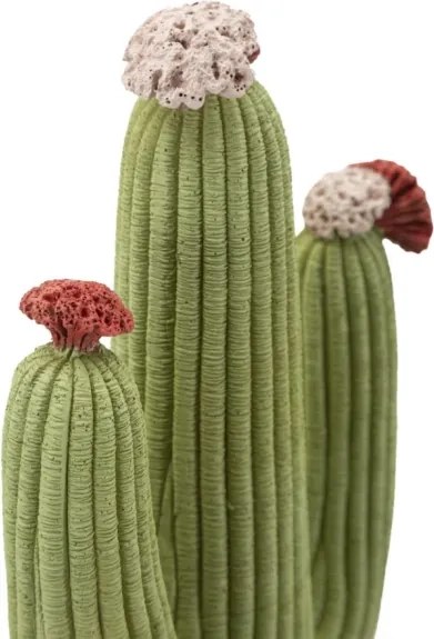 Cactus Cm 16,5X11X45