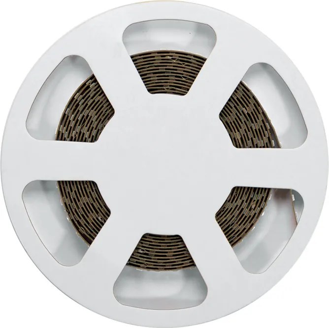 Striscia LED 24V 144W/m Luce Rossa - IP54 - 5 metri