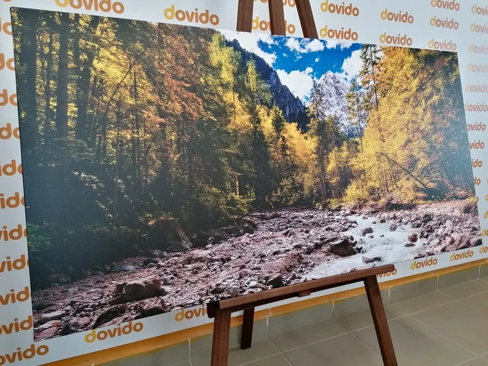 Quadro su tela – Paesaggio montano pittoresco