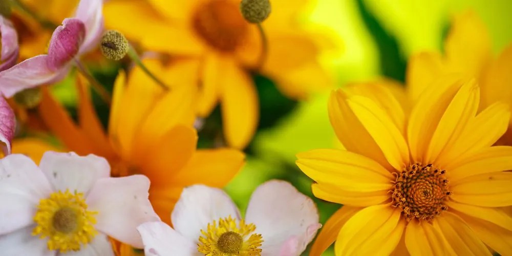 Quadro su tela – Bouquet estivo