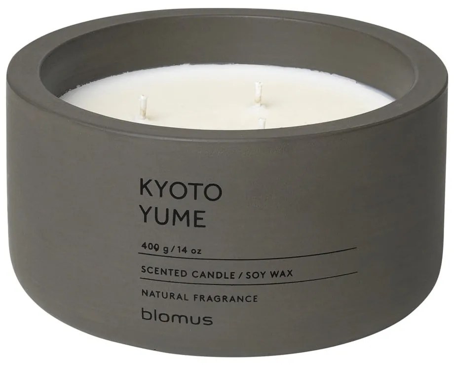 Candela di soia profumata tempo di combustione 25 h Fraga: Kyoto Yume - Blomus