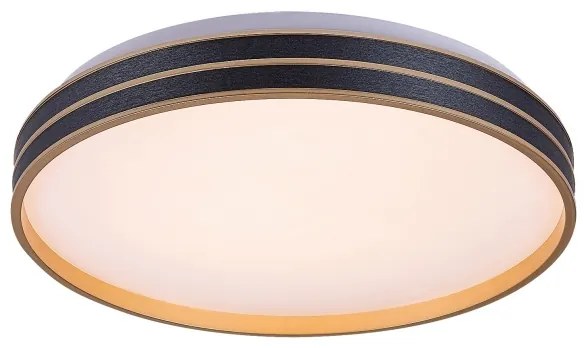 Rabalux 71141 - Plafoniera LED dimmerabile GANDOR LED/24W/230V 3000-6500K