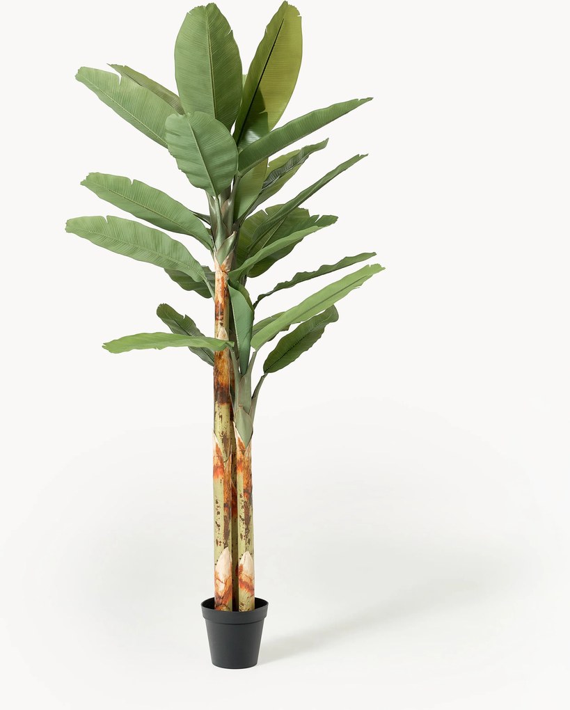 Pianta artificiale Banana Tree