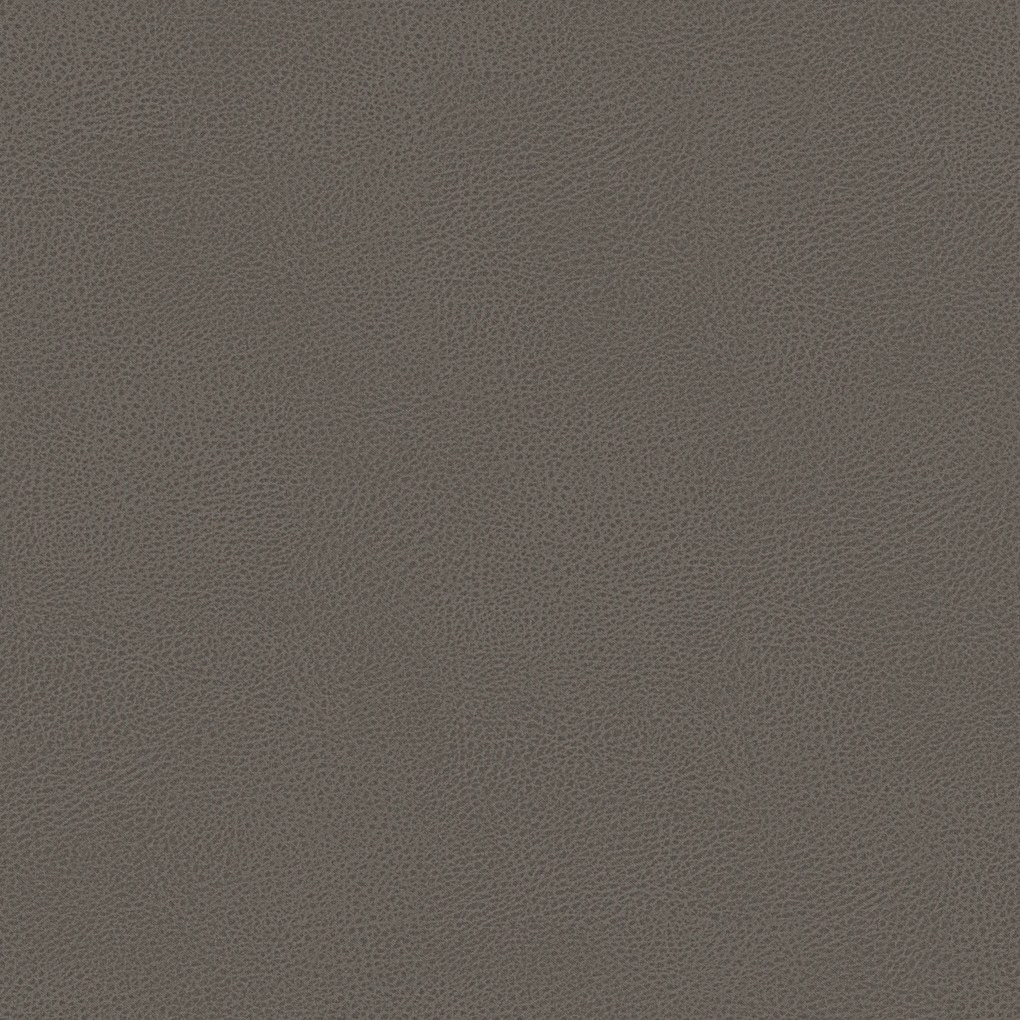 Bisont cuscino disponibile in diversi colori realizzato in microfibra effetto pelle smacchiabile T15 tortora