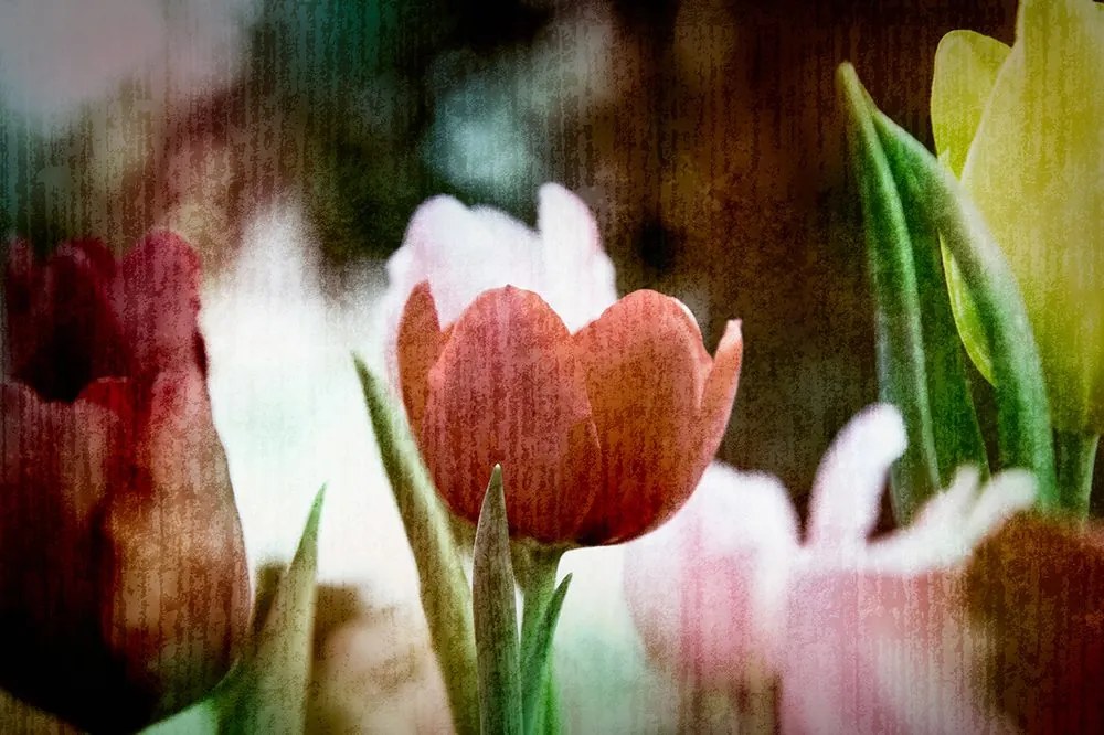 Carta da parati – Prato di tulipani in stile retrò