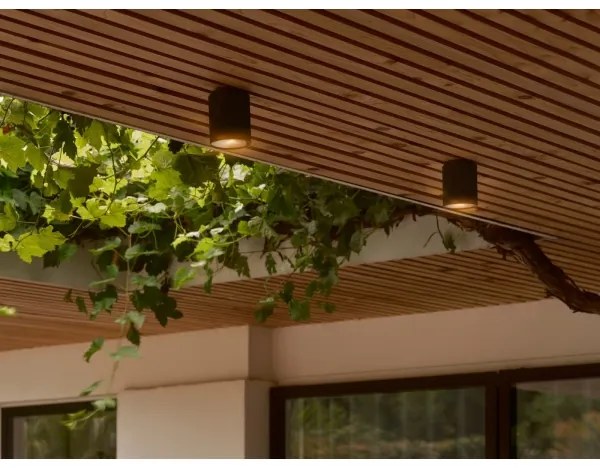 Nordlux - Plafoniera da esterno KYKLOP 1xGU10/15W/230V IP54 nero