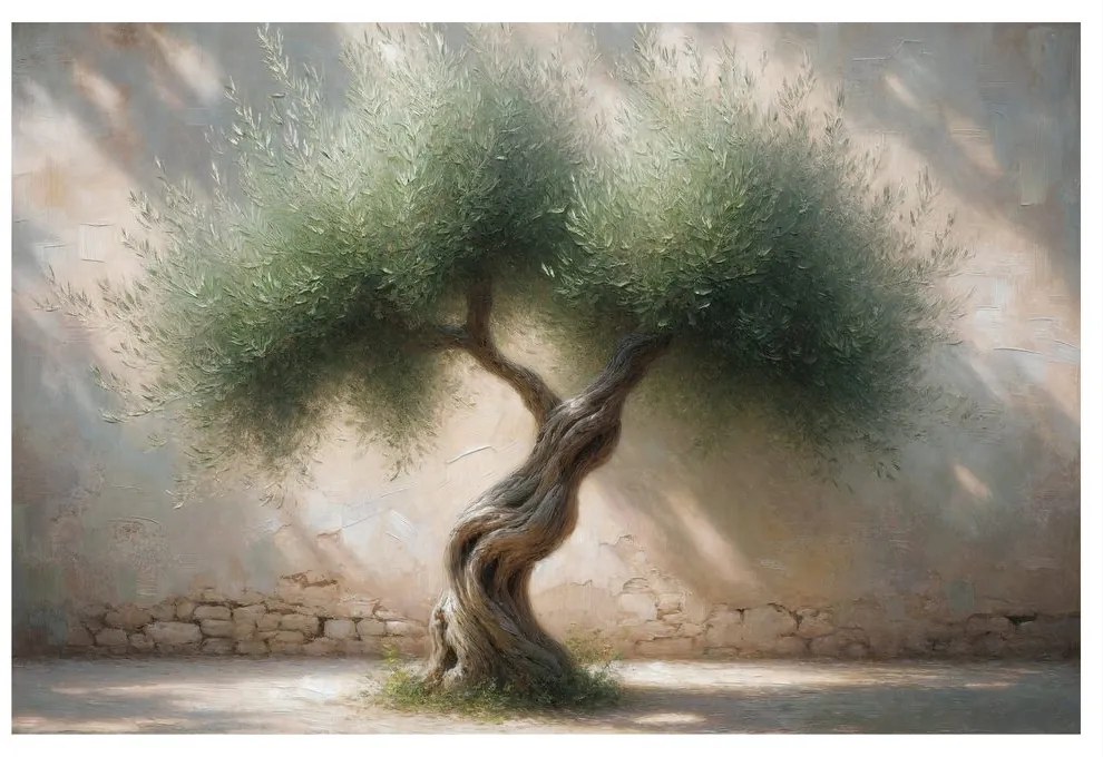 Quadro su tela – Ulivo in cortile di pietra
