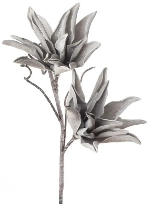 L'OCANERA Agave grigio chiaro 1p115