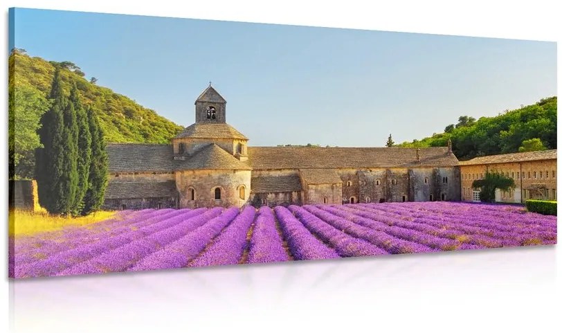 Stampa su tela – Provenza con campi di lavanda