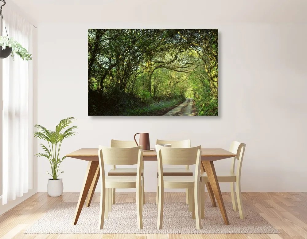 Quadro su tela – Foresta da fiaba
