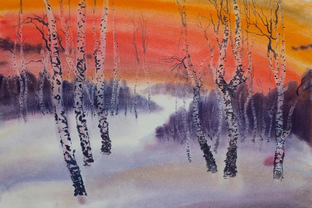 Carta da parati – Boschetto di betulle al tramonto
