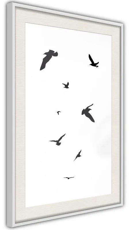 Poster  Birds  Cornice Quadri Cornice nera con pass-partout, Larghezza x Altezza Home decor 40x60