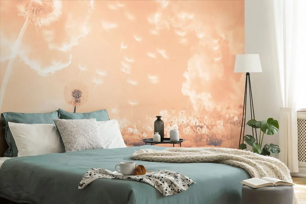 Carta da parati – Soffioni magici sul prato Peach Fuzz