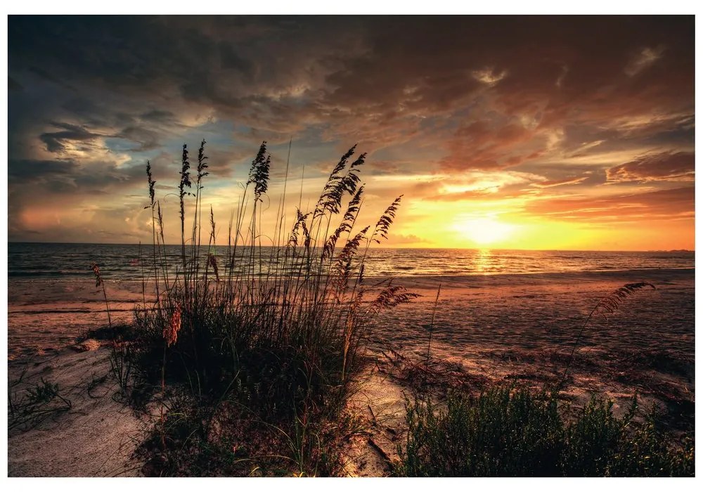 Carta da parati – Tramonto sulla spiaggia