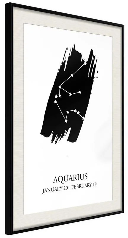 Poster  Zodiac: Aquarius I  Cornice Quadri Cornice nera con pass-partout, Larghezza x Altezza Home decor 20x30