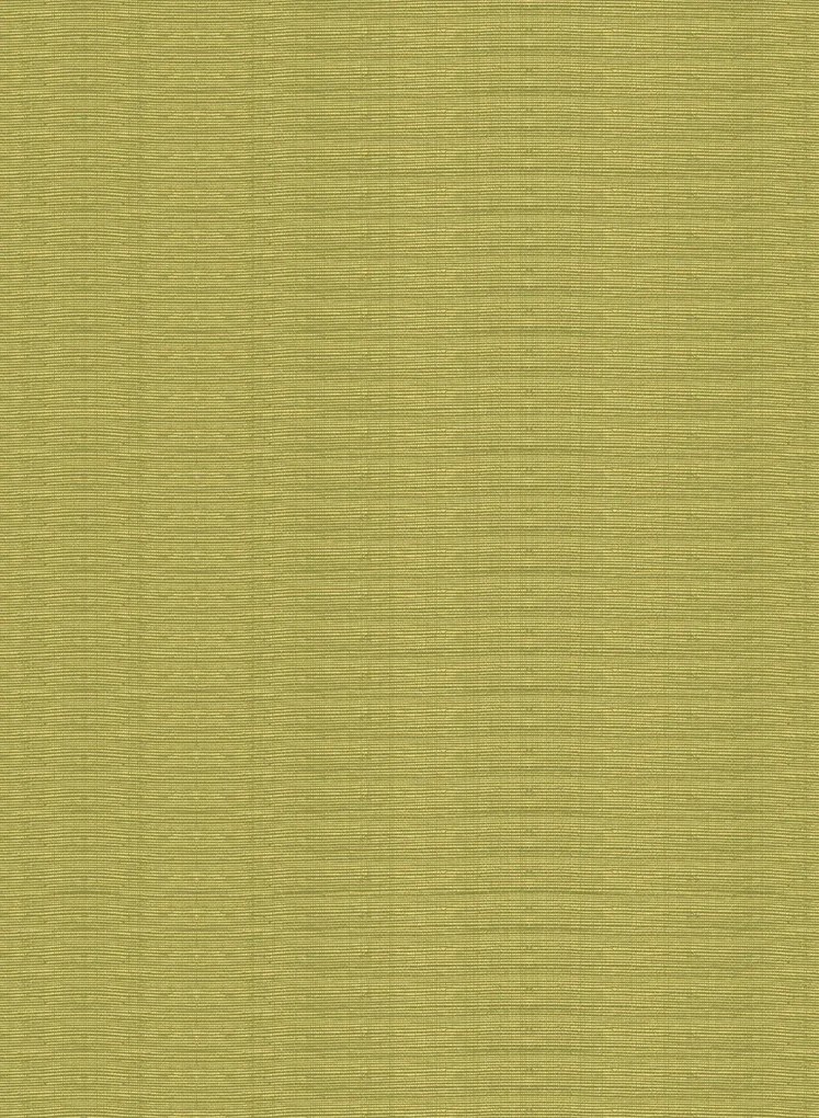 Arte International Carta da parati Line - Gold/ Olive