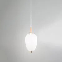 Lampadario In Metallo Contemporaneo Cirro Bianco Led Diffusore Allungato