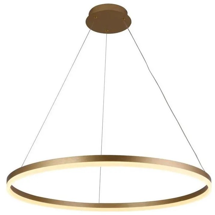 Brilagi - Lampadario a sospensione con filo LED dimmerabile CIRCLE LED/55W/230V 3000-6500K oro + +TC