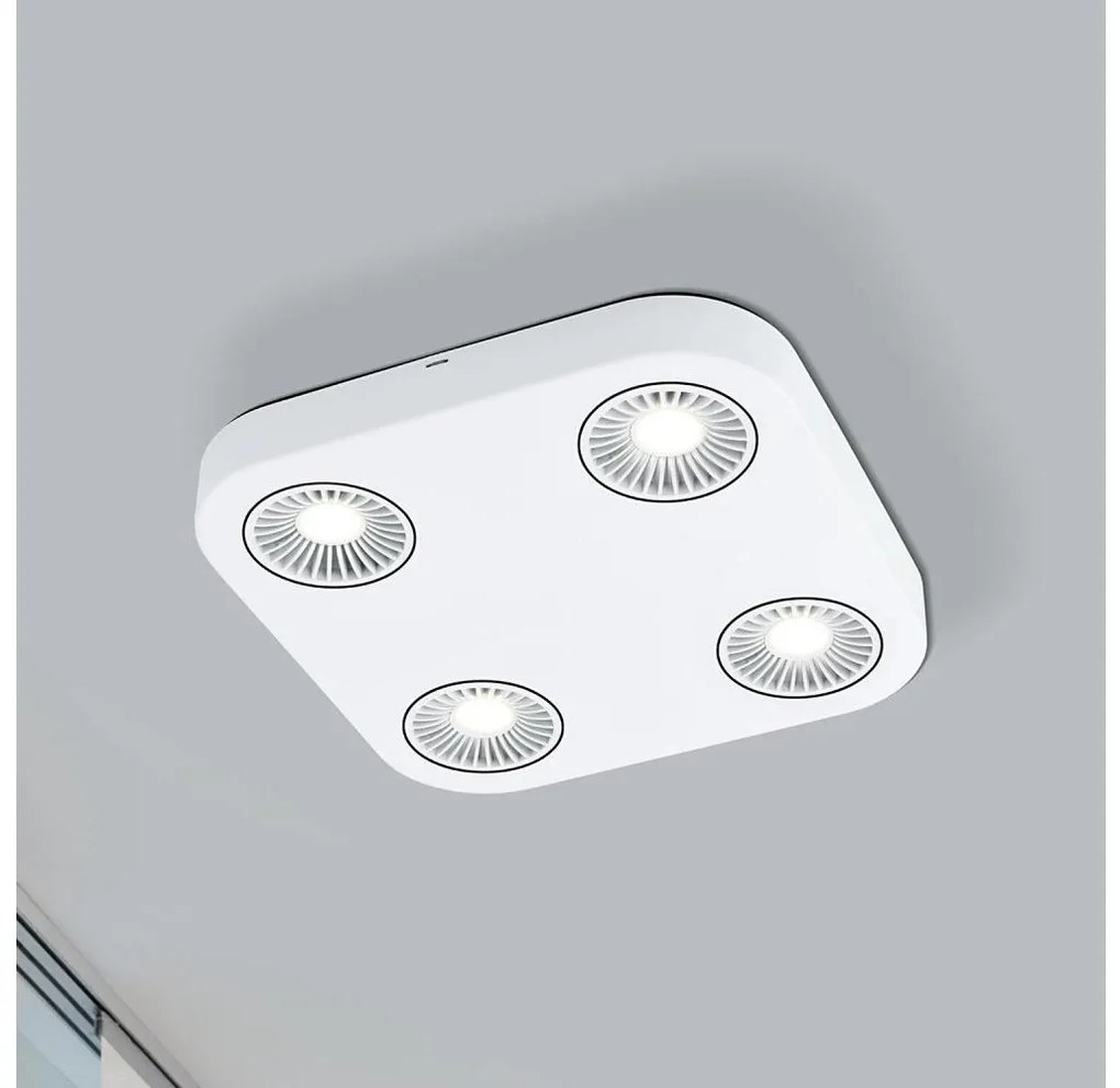 Eglo 94178 - Faretto LED MONTALE 4xLED/5,4W/230V