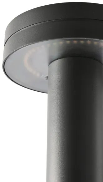 FARO 71948 - Lampada LED da esterno ESPOT LED/9W/230V IK07 IP65 60 cm antracite