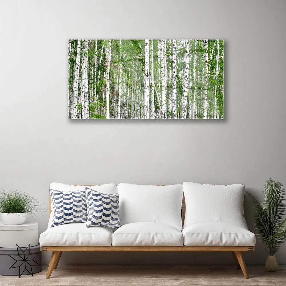Quadro acrilico Natura degli alberi della foresta di betulle 100x50 cm