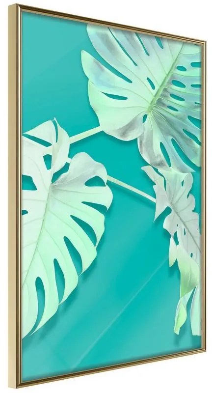 Poster  Teal Monstera  Cornice Quadri Cornice d'oro, Larghezza x Altezza Home decor 20x30