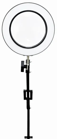 Lampada da tavolo LED dimmerabile con una lente d'ingrandimento LED/10W/230V 3000/4500/6000K