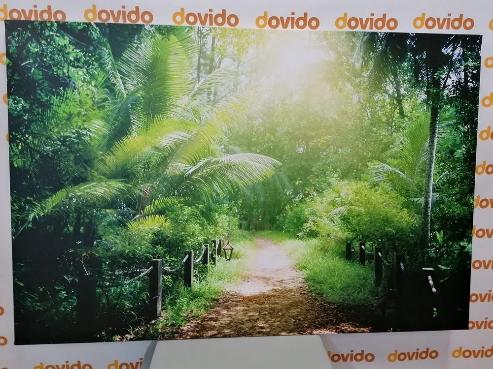 Stampa su tela – Sentiero sull'isola di Seychelles