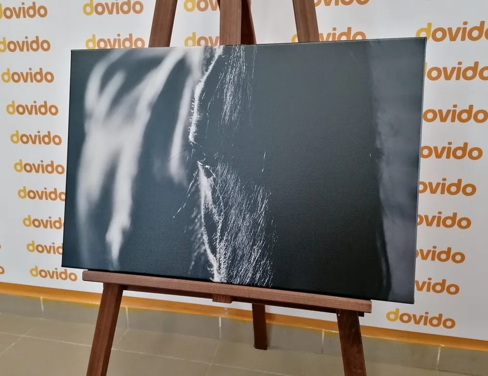 Quadro su tela – Cavallo maestoso in bianco e nero