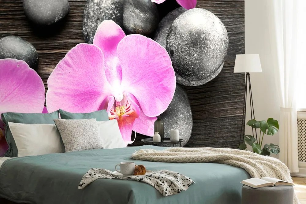 Carta da parati – Splendida orchidea e pietre