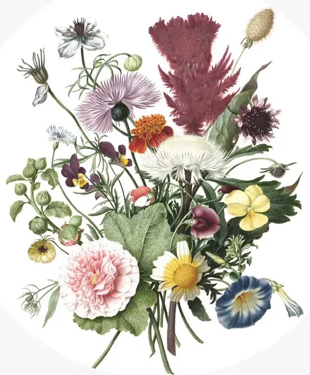 KEK Amsterdam Wandbild Wild Flowers Circle - S - 1.425m
