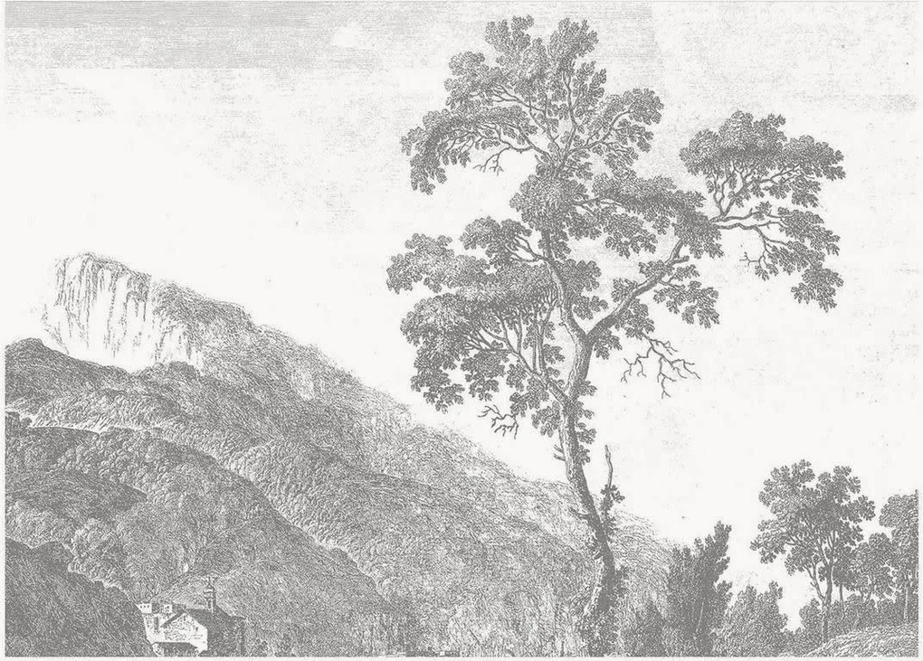 Carta da parati in tessuto non tessuto Engraved Landscapes I