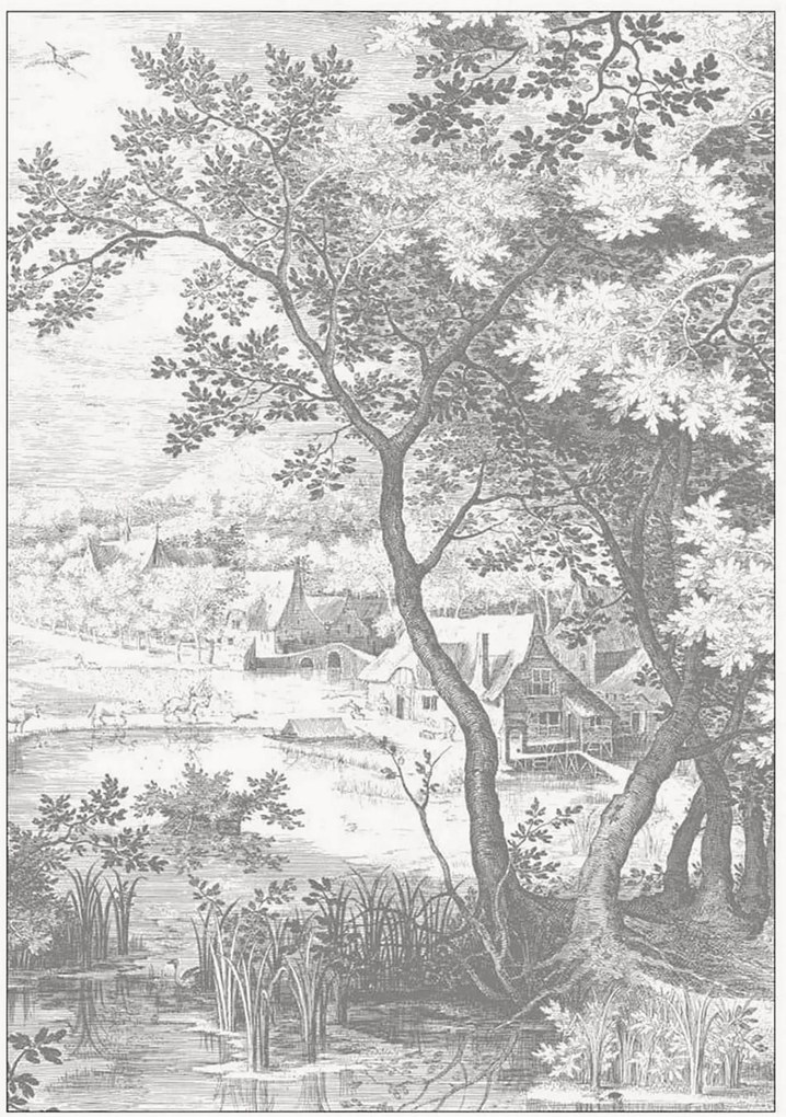 Carta da parati in tessuto non tessuto Engraved Landscapes