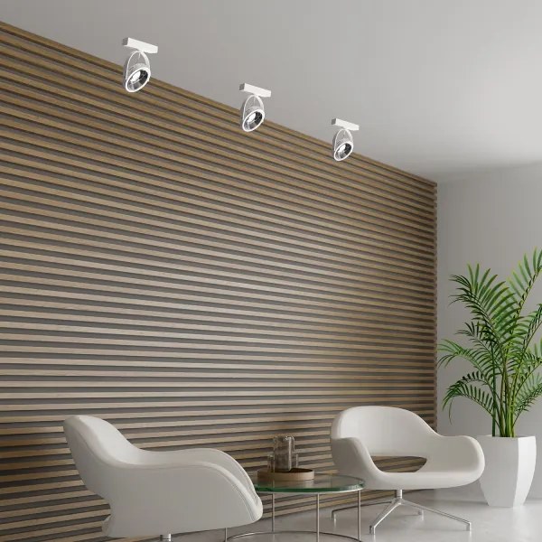 Luce Spot da parete a LED LUGAR 1xAR111 - GU10/25W/230V