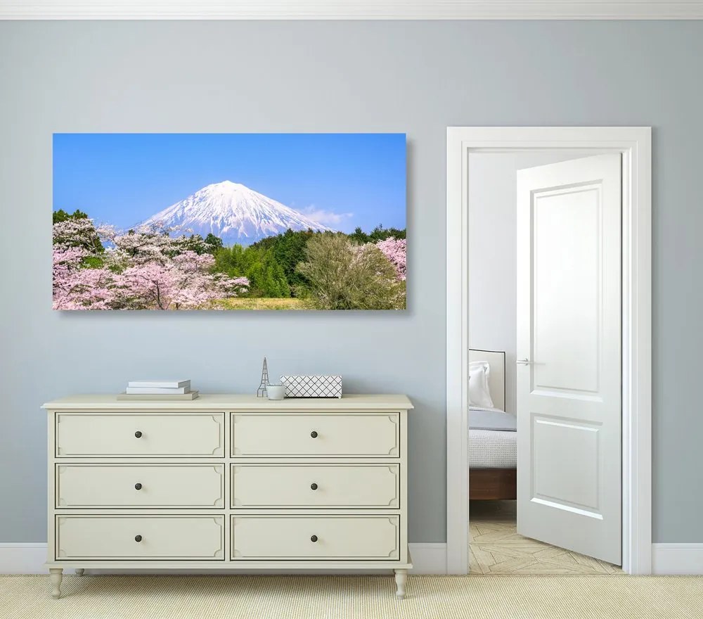 Quadro su tela – Monte Fuji