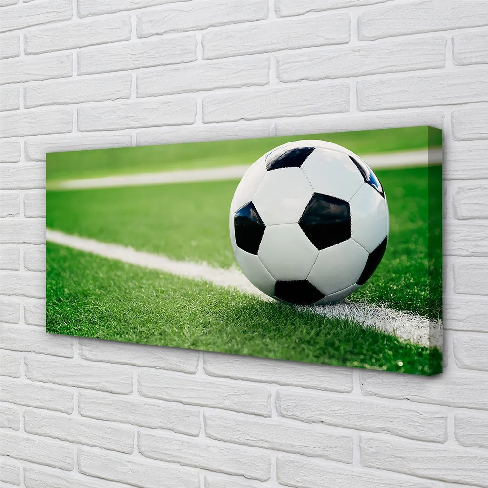 Quadro su tela Prato 125x50 cm